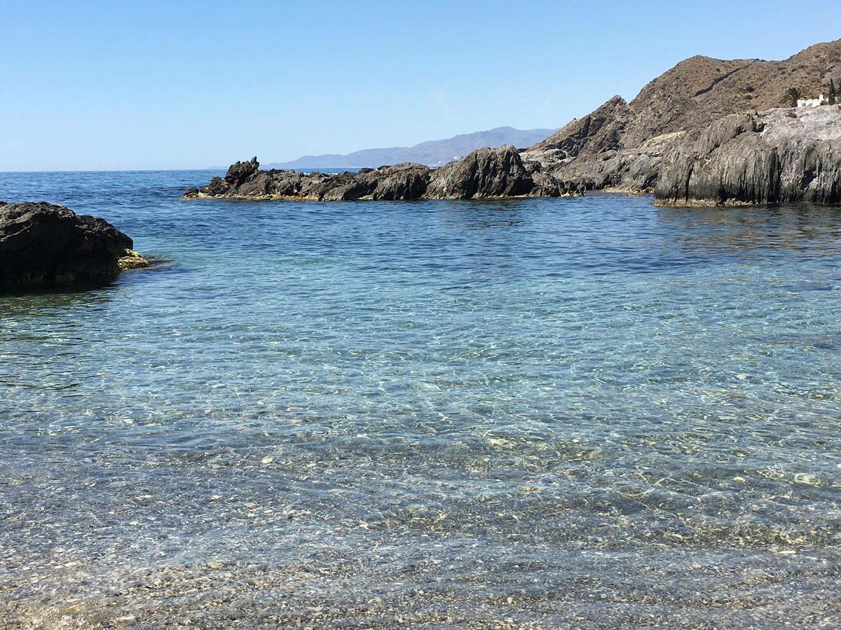 13396766_10210147092695335_31185702_o