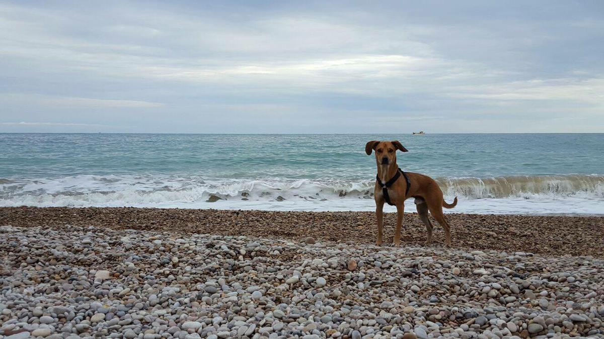 13275418_10209991629768859_923262921_o