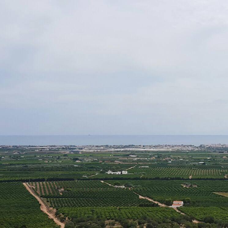 13227961_10209991645369249_1318806219_n