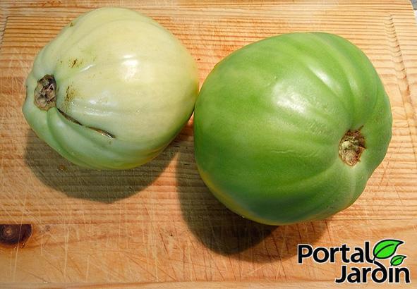 Tomates verdes fritos Portal Jardín