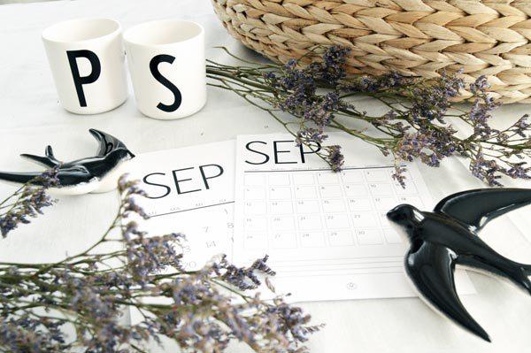 AllYourSites-Descargable-Septiembre-2