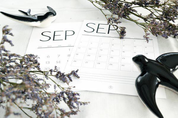 AllYourSites-Descargable-Septiembre-3