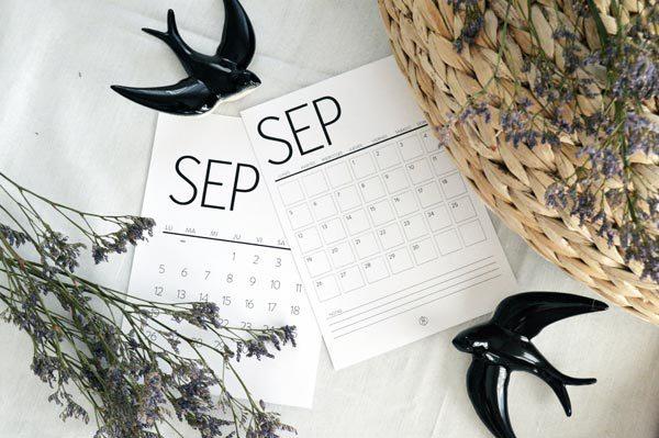 AllYourSites-Descargable-Septiembre-4