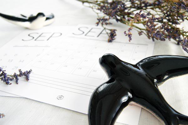 AllYourSites-Descargable-Septiembre-5