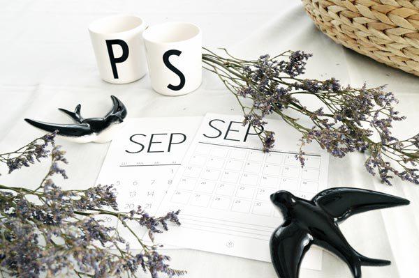 AllYourSites-Descargable-Septiembre-6