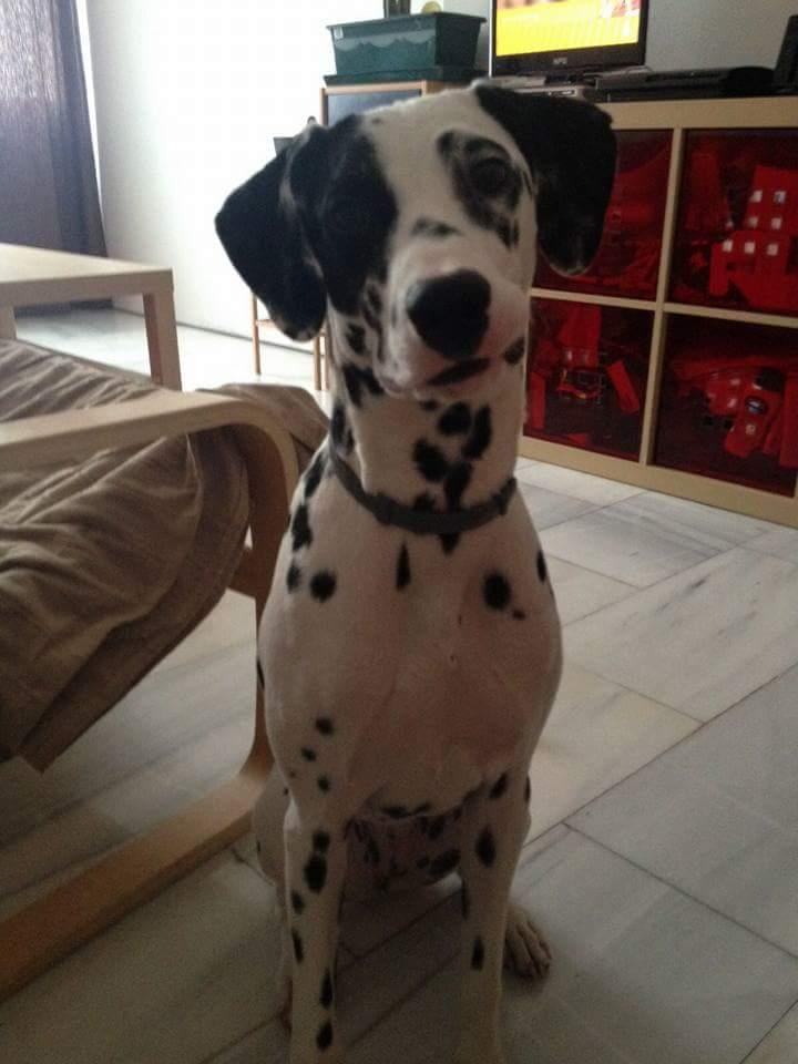 WhatsApp Image 2016-07-08 at 14.55.33