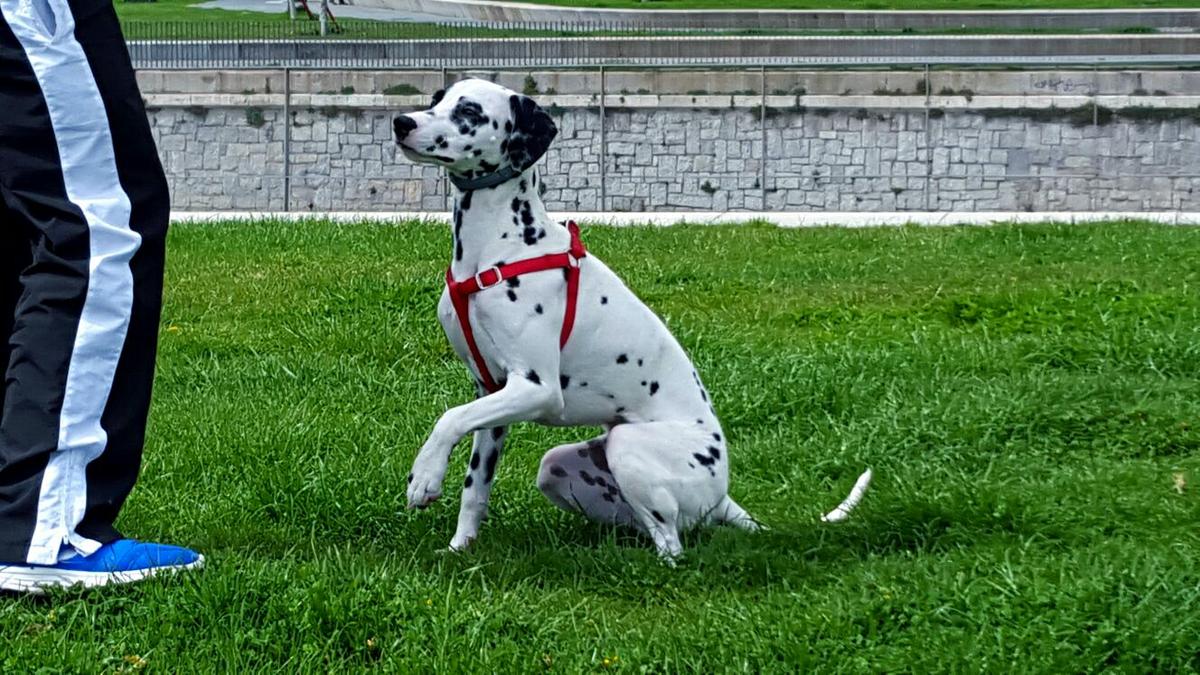 WhatsApp Image 2016-07-08 at 14.58.48