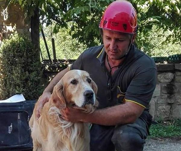 Un Perro Sobrevive Nueve Días al Terremoto de Italia