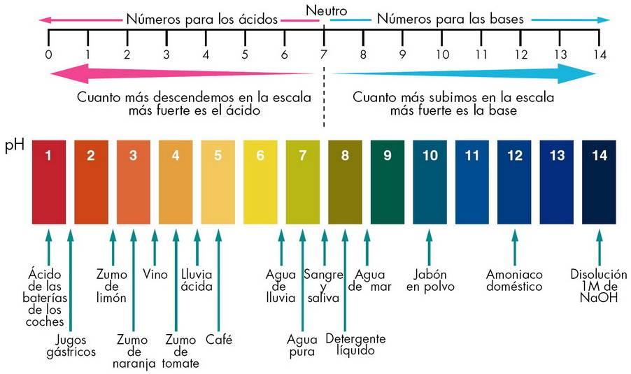 Grafico valores pH