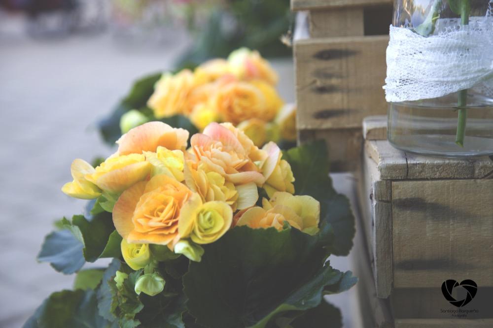 colores-de-boda-organizacion-bodas-wedding-planner-diseño-decoracion-bodas--116