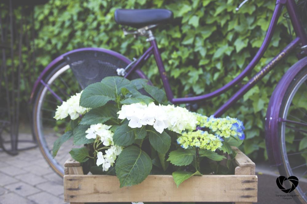 colores-de-boda-organizacion-bodas-wedding-planner-diseño-decoracion-bodas--56