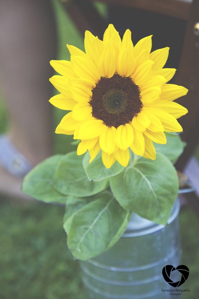 colores-de-boda-organizacion-bodas-wedding-planner-diseño-decoracion-bodas--86