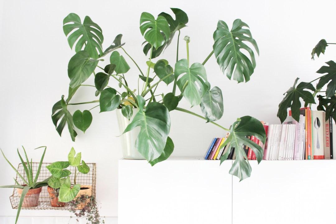 vintage_retro_vivienda_decoracion_10