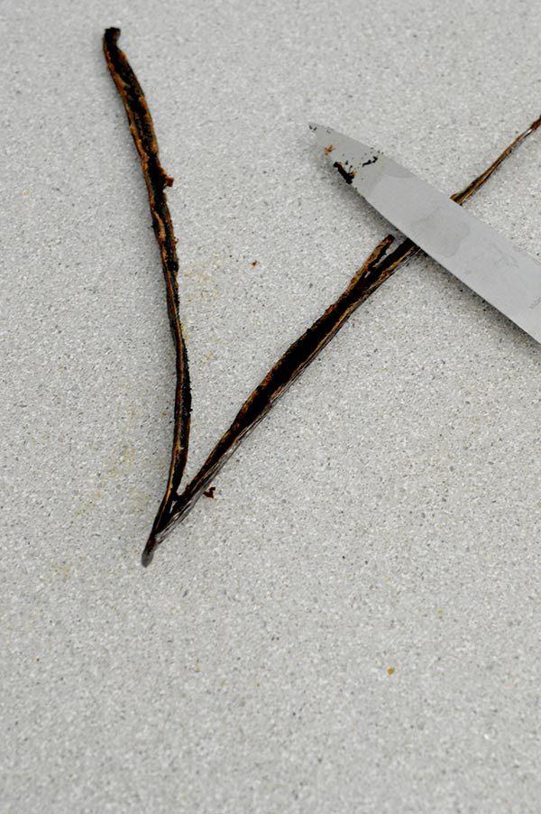 POSTRE-FRUTAS-DEL-BOSQUE-3