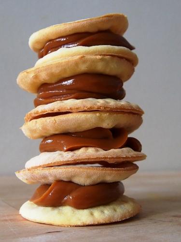 ??????????????????????