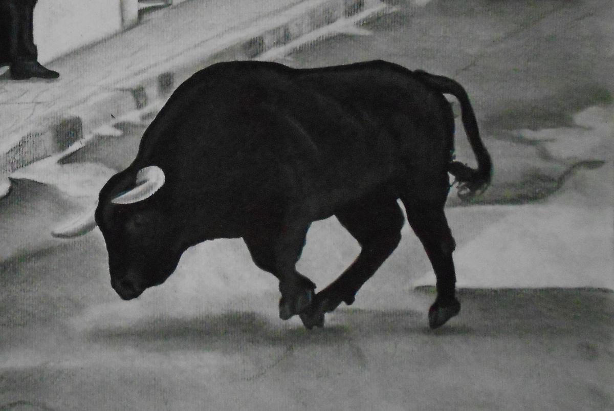 toro2