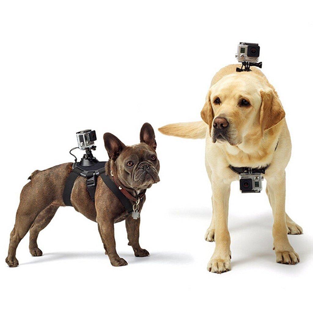 Arnés para Cámara GoPro para perro