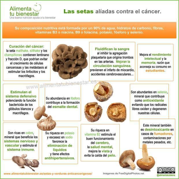 Infografía Setas cáncer