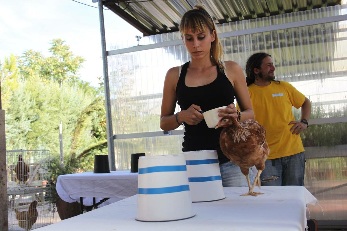 Sonia Grande Moreno - Chicken Camp III