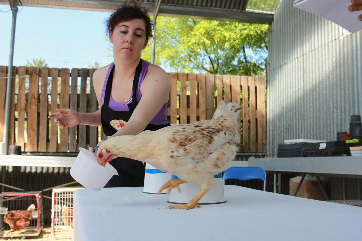 Inés González - Chicken Camp III