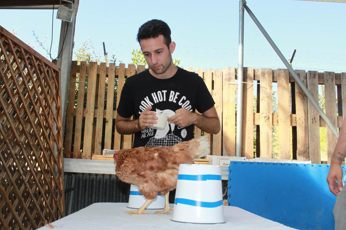 Mateo Serrano Amón - Chicken Camp III