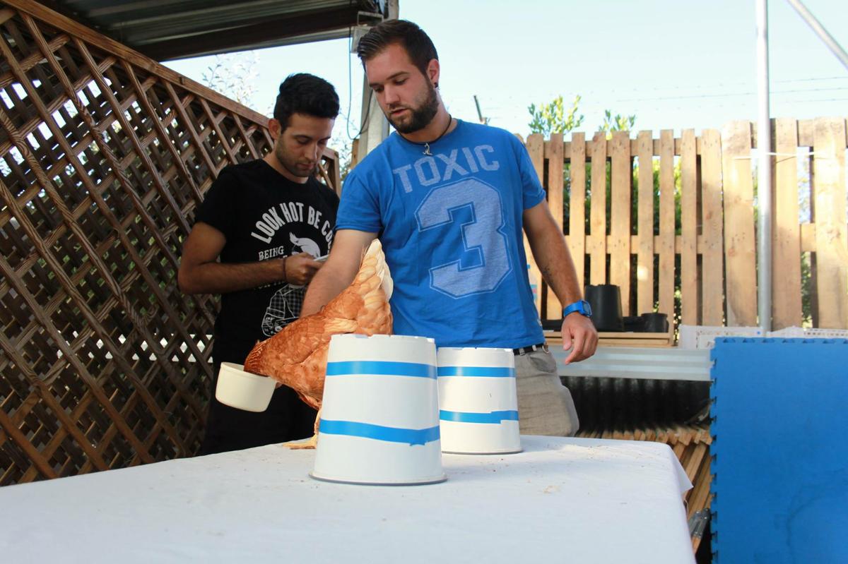 David Barroso Laguna - Chicken Camp III