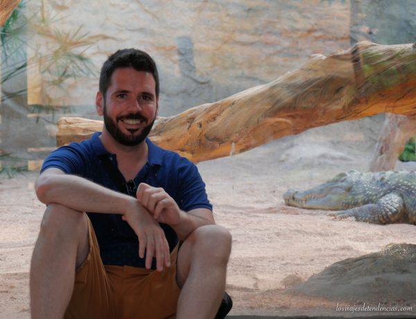10 razones para visitar Bioparc en Valencia
