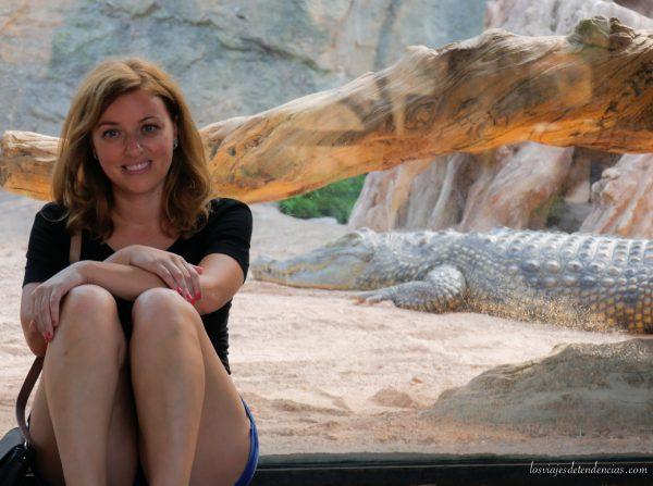 10 razones para visitar Bioparc en Valencia