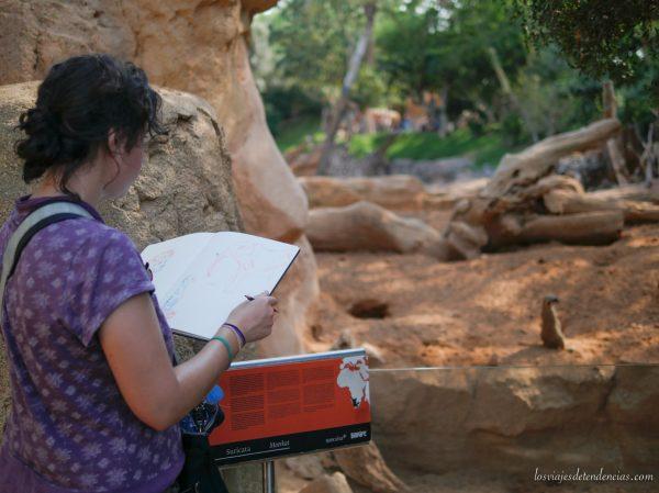 10 razones para visitar Bioparc en Valencia