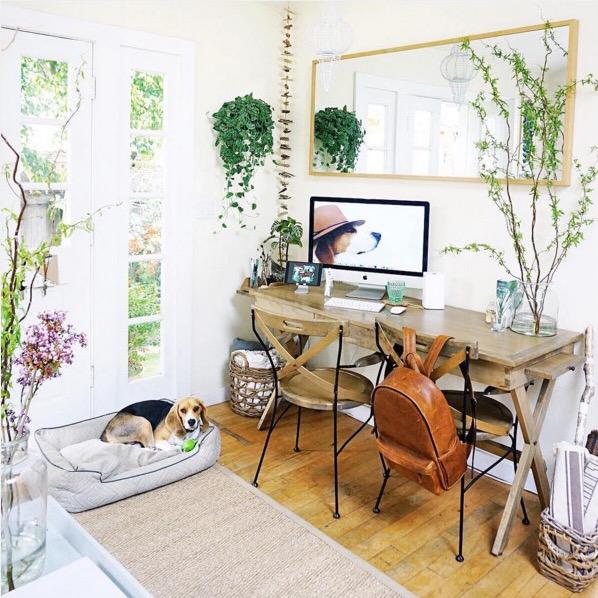 pensaban-que-estaba-loco-cuando-se-mudo-a-un-garaje-06