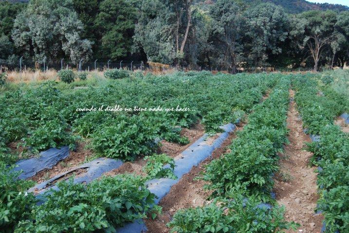 dsc_0039-fileminimizer