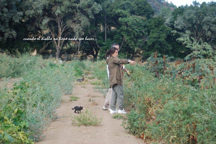 dsc_0031-fileminimizer