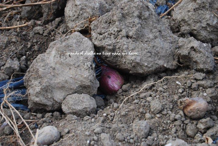 dsc_0021-fileminimizer