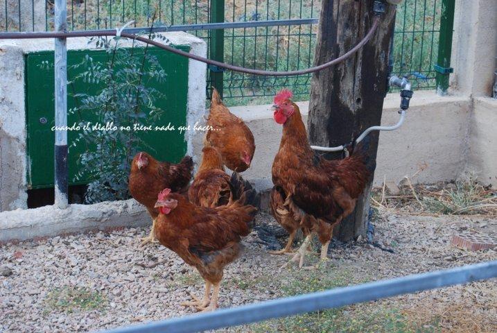 dsc_0019-fileminimizer