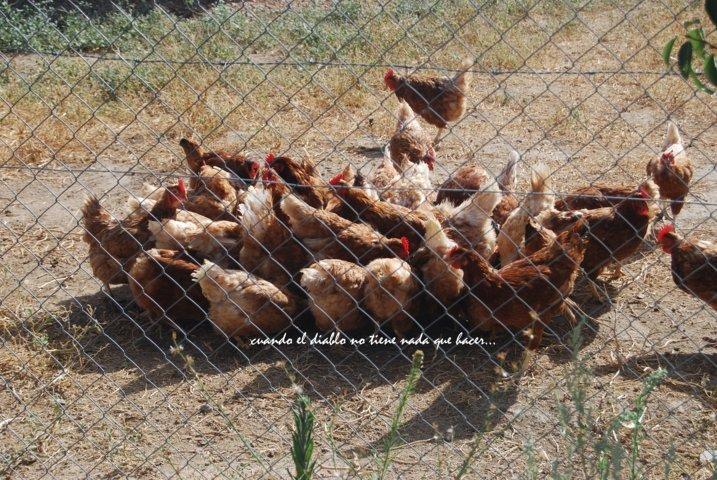 dsc_0045-fileminimizer