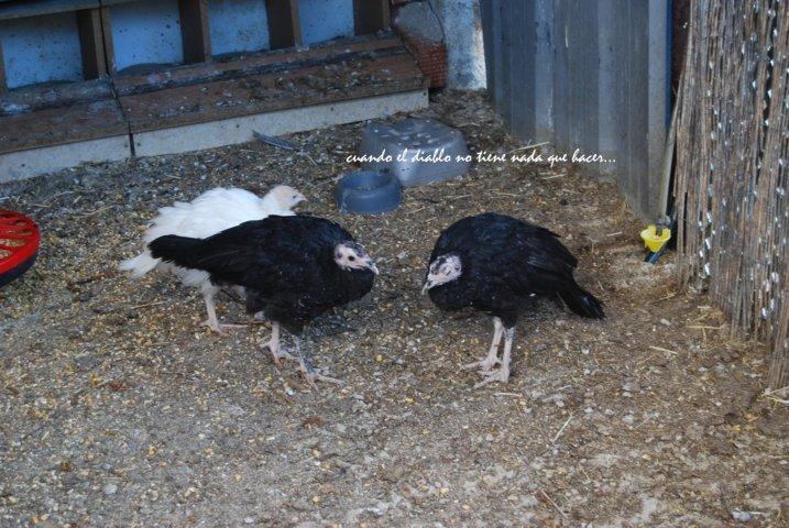 dsc_0047-fileminimizer