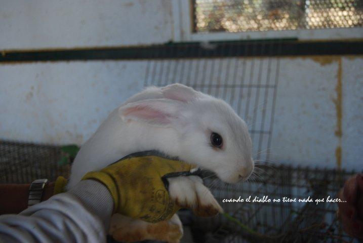 dsc_0050-fileminimizer