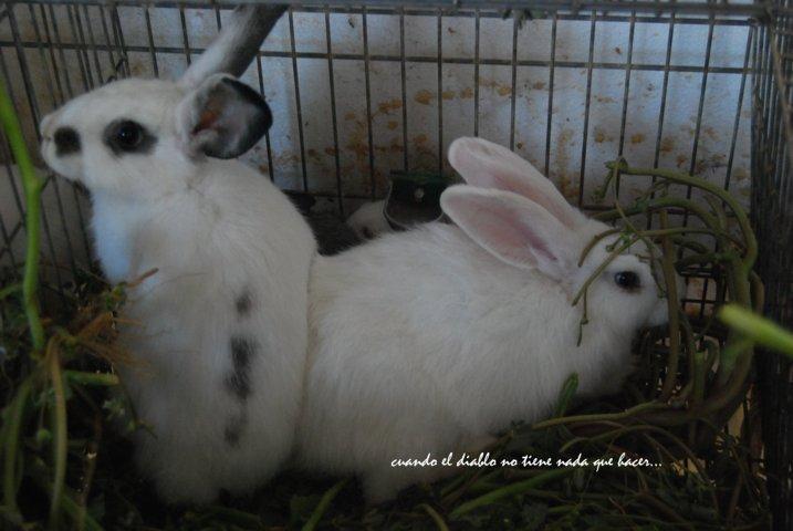 dsc_0053-fileminimizer