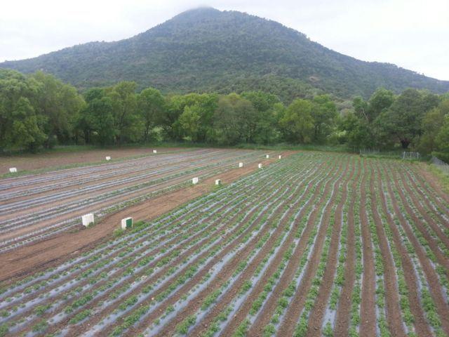 img_8443-fileminimizer