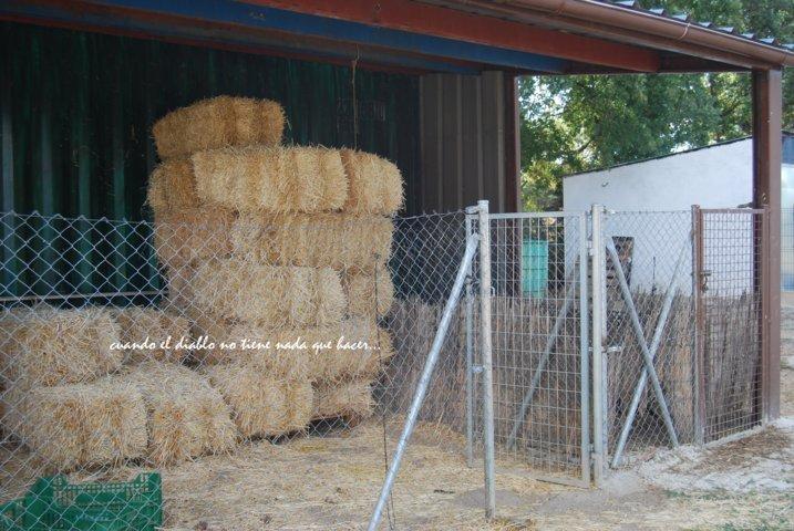 dsc_0046-fileminimizer