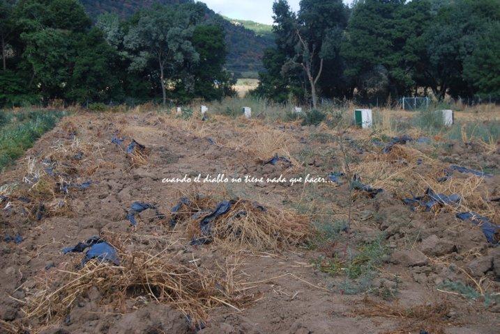 dsc_0022-fileminimizer