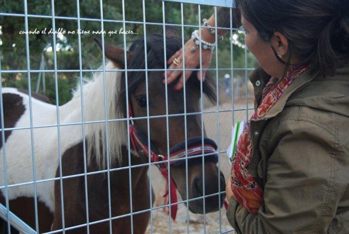 dsc_0048-fileminimizer