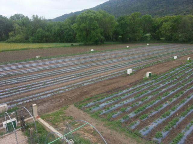 img_8445-fileminimizer