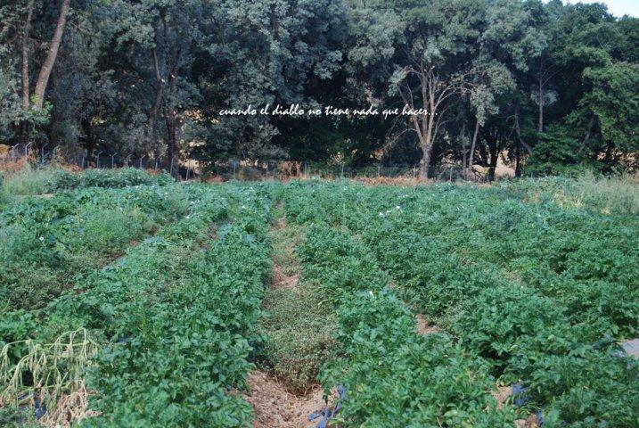 dsc_0040-fileminimizer