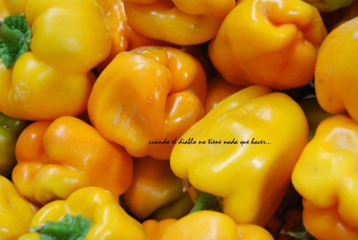 dsc_0001-fileminimizer