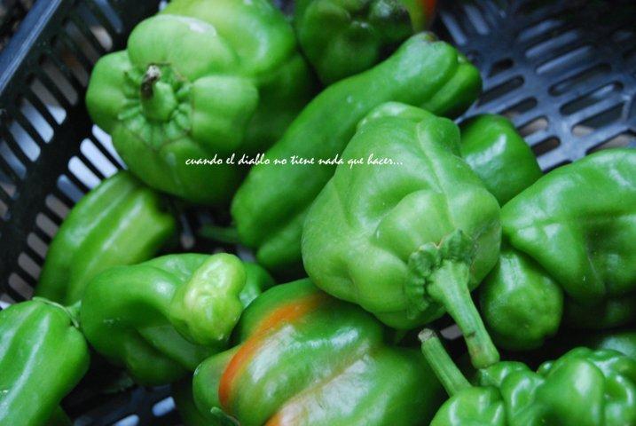 dsc_0002-fileminimizer