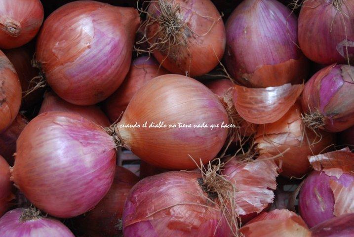 dsc_0003-fileminimizer