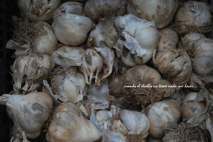 dsc_0004-fileminimizer