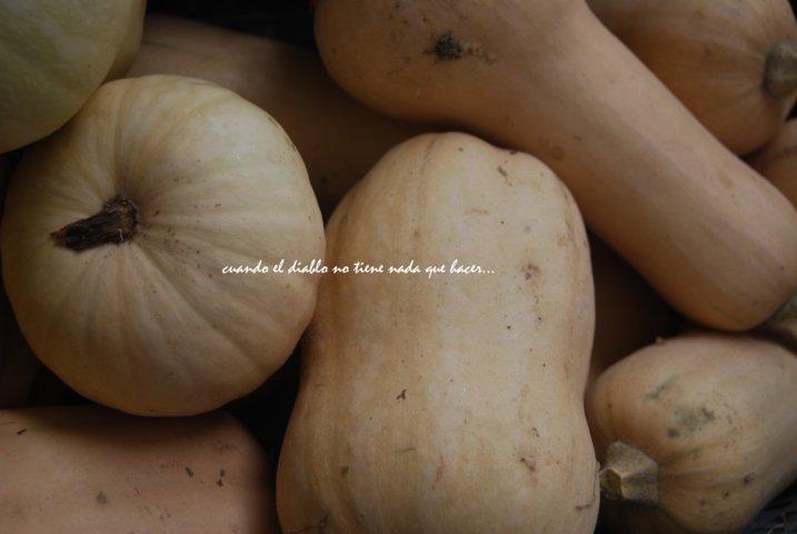 dsc_0005-fileminimizer