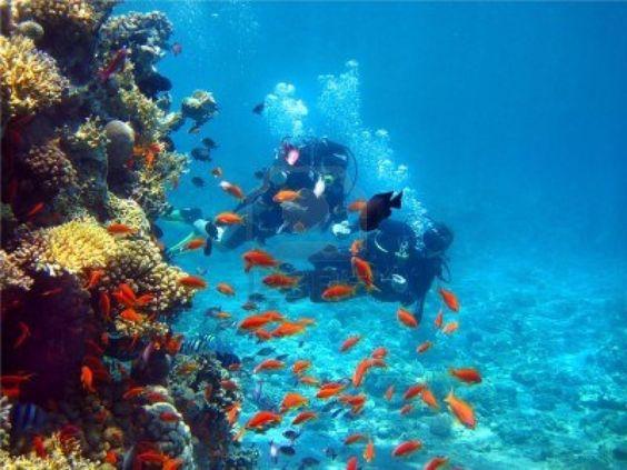 Relax Time submarinisimo